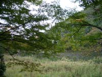 e0182178_8234145.jpg