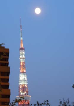 b0090284_1718874.jpg