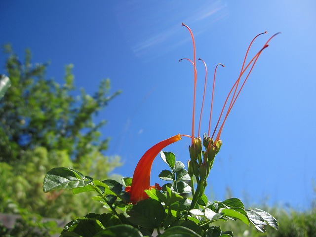 b0182884_2305036.jpg