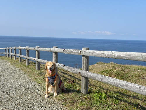 北海道旅行 Ⅲ_c0172184_193930.jpg