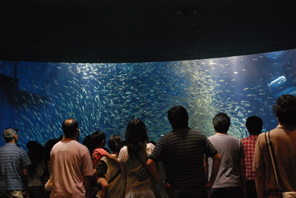 名古屋港水族館_e0172592_11464319.jpg