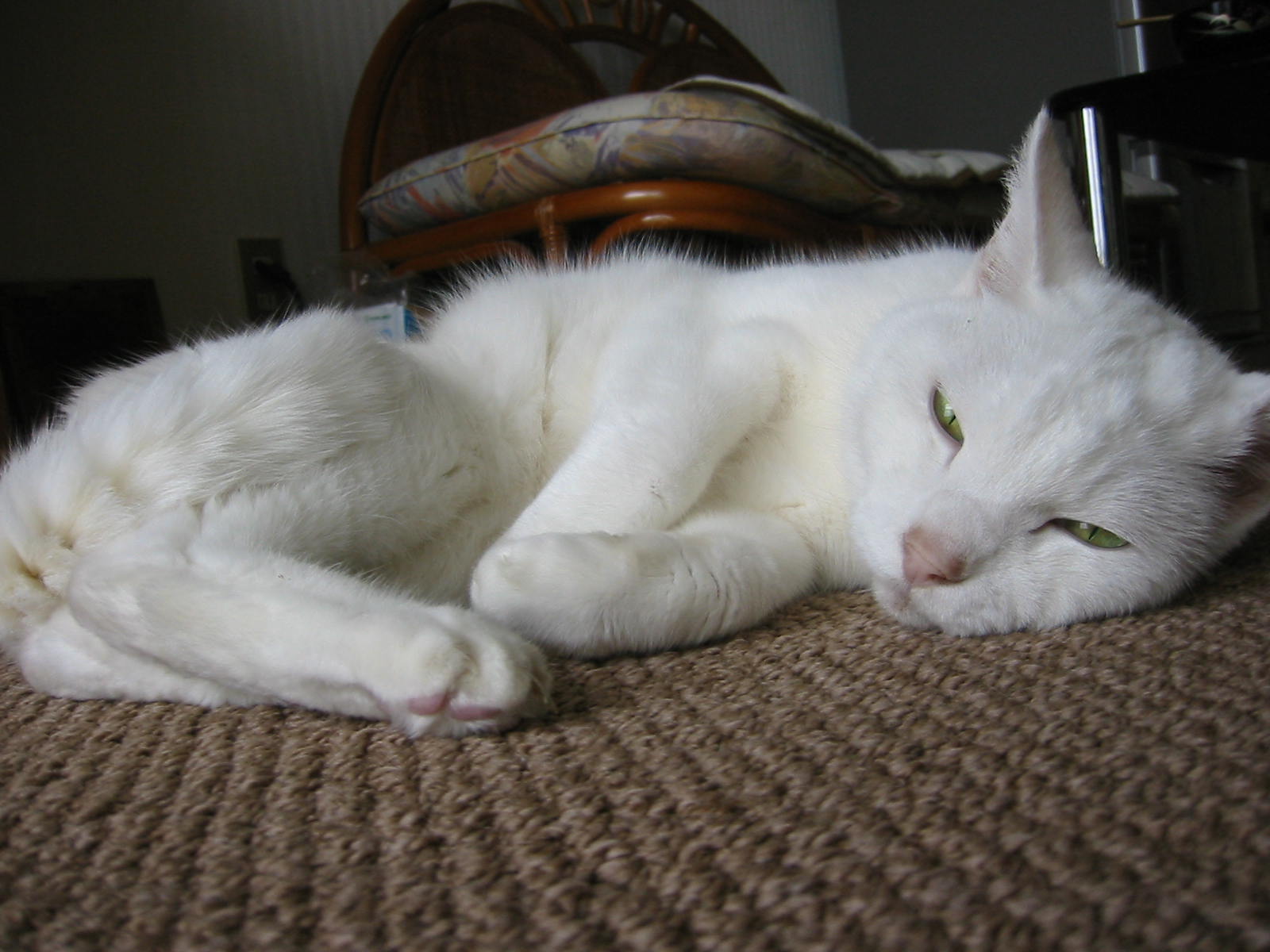 f0057094_20122034.jpg