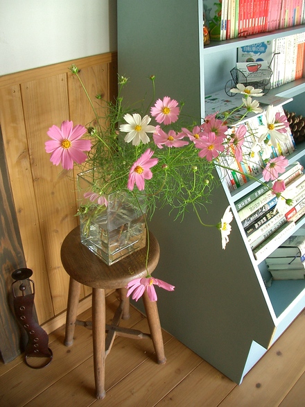f0209394_13157.jpg