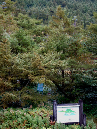 e0120896_6481690.jpg
