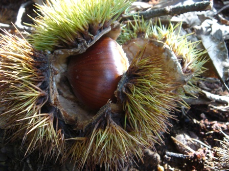 e0143298_2138852.jpg