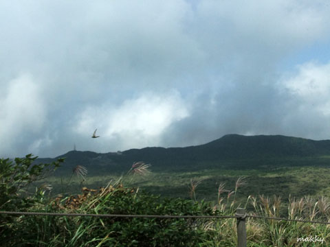 a0115202_0255798.jpg