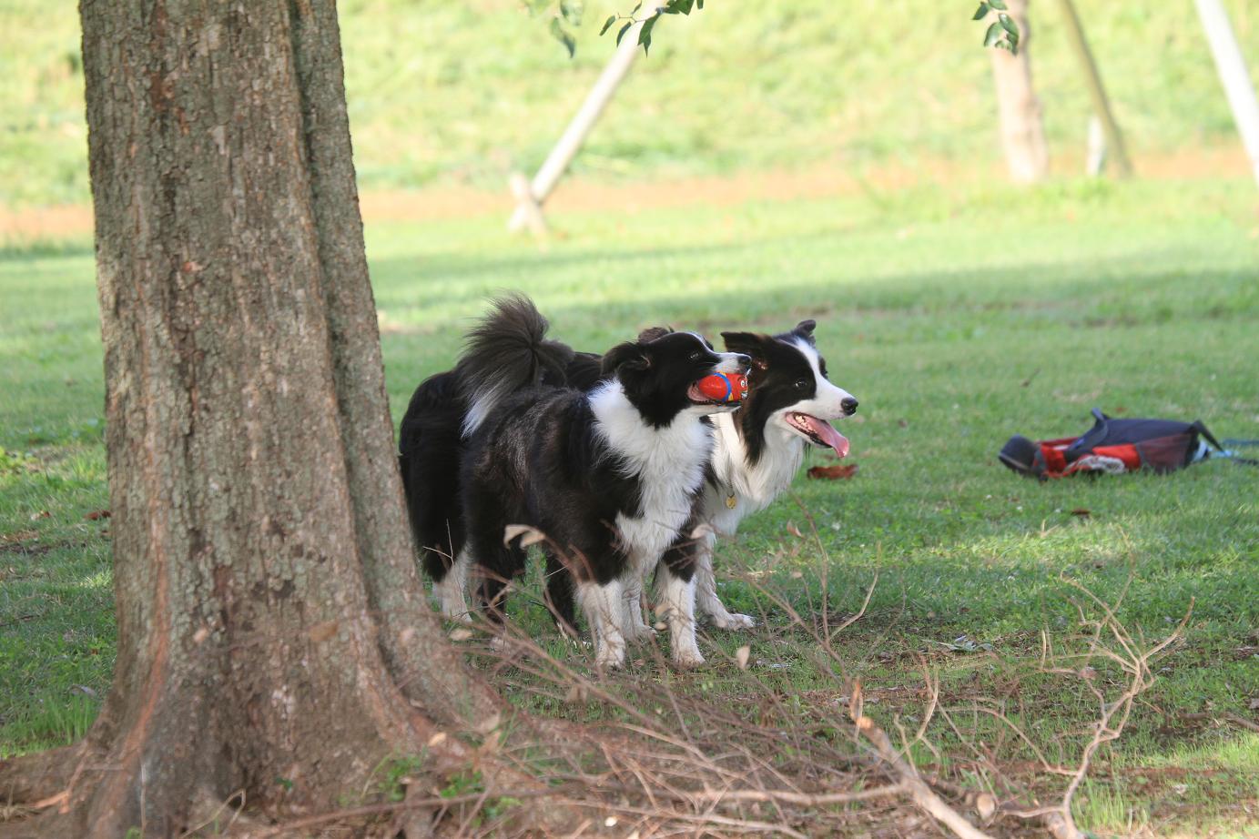 f0034602_201073.jpg