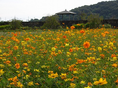 a0123003_23445313.jpg