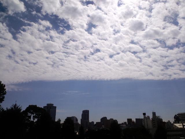 a0088007_16461987.jpg