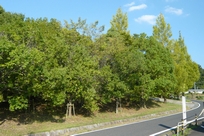 f0221708_07182.jpg