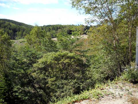b0000209_74158.jpg