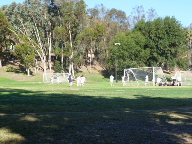 a0144811_1005256.jpg