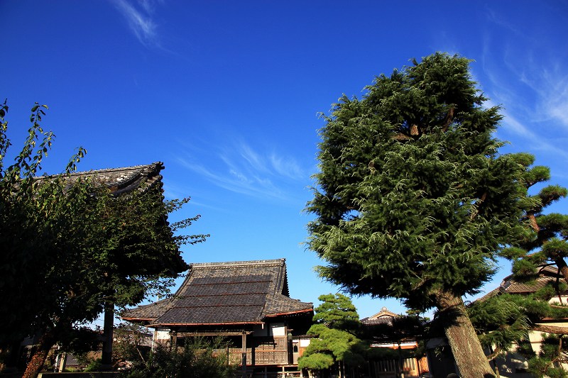 f0201711_8414274.jpg