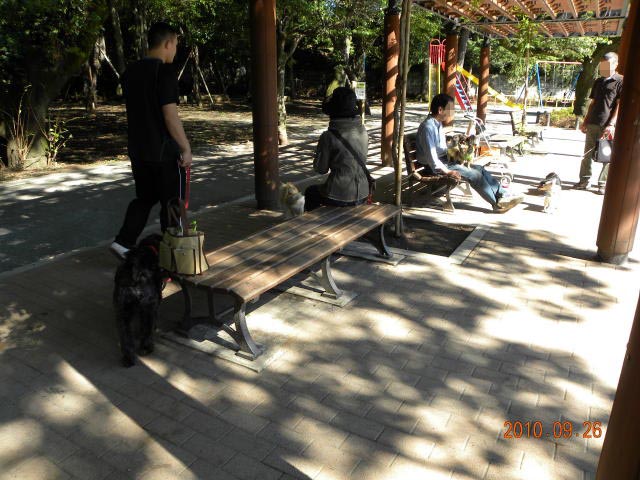 b0203018_17143621.jpg
