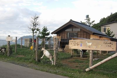 c0094218_16251763.jpg