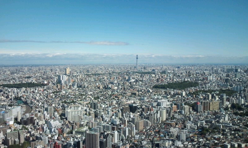 f0182623_2156558.jpg