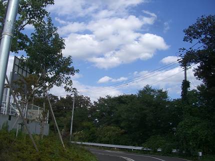 d0065324_17152389.jpg
