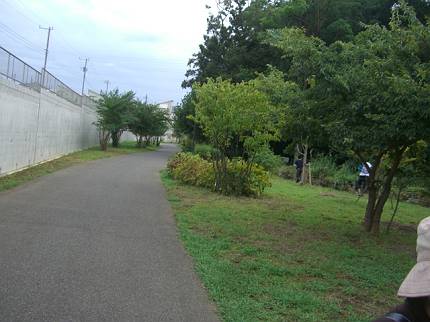 d0065324_17255479.jpg