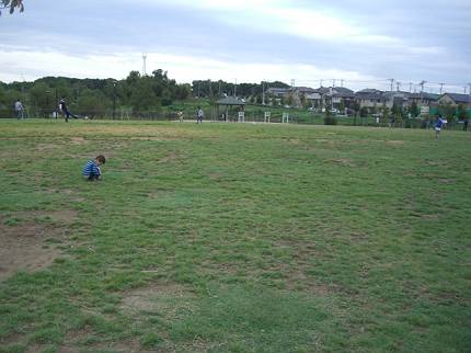 d0065324_17315937.jpg