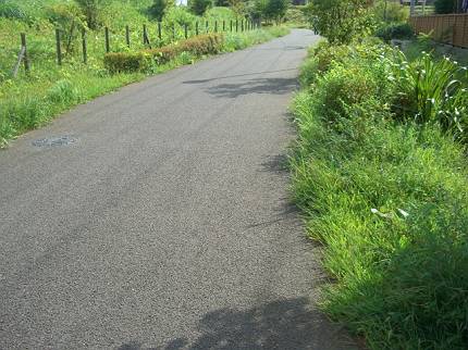 d0065324_1782879.jpg
