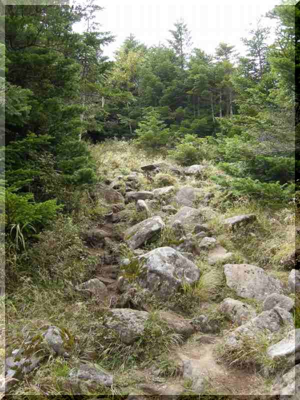 f0100825_21104761.jpg