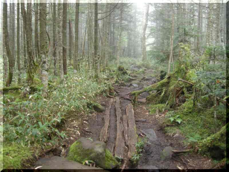 f0100825_219831.jpg