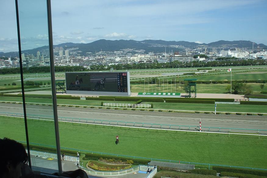 大人の遠足　阪神競馬場_a0015730_22162571.jpg