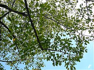 b0132630_15125264.jpg