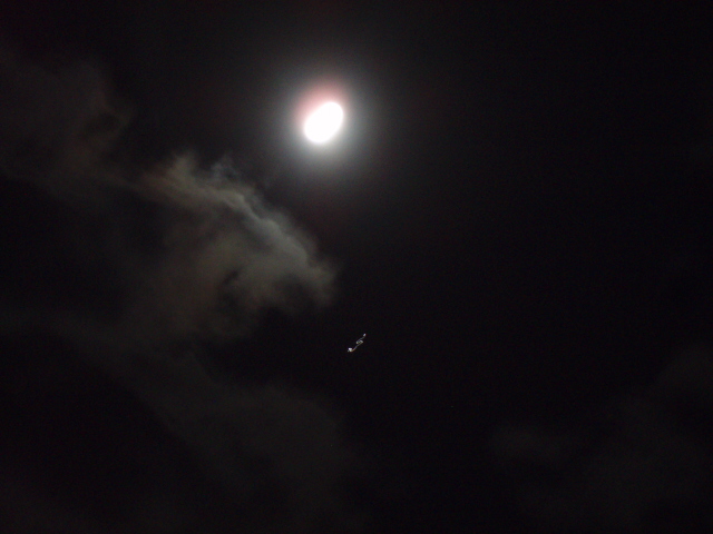e0177330_6485063.jpg