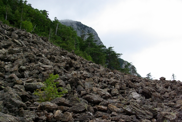 甲斐駒ケ岳に登りました！_a0137131_22365896.jpg