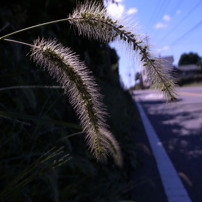 c0182231_1955713.jpg