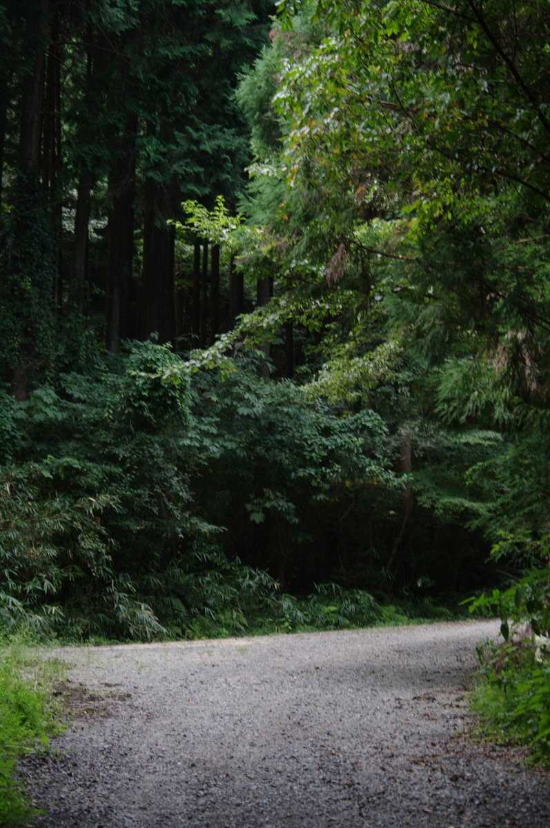 d0032931_2341572.jpg