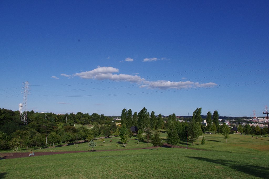 c0113733_09735.jpg