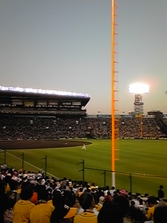d0098335_135304.jpg