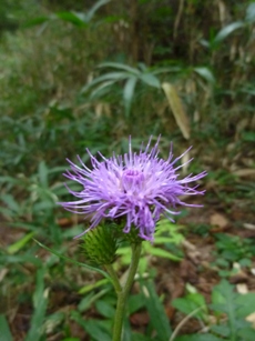 b0169238_215559100.jpg