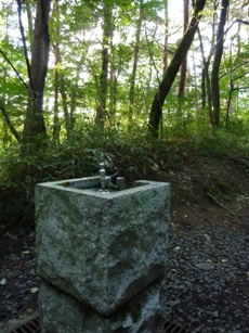 b0169238_21561751.jpg