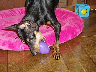 c0123149_198497.jpg
