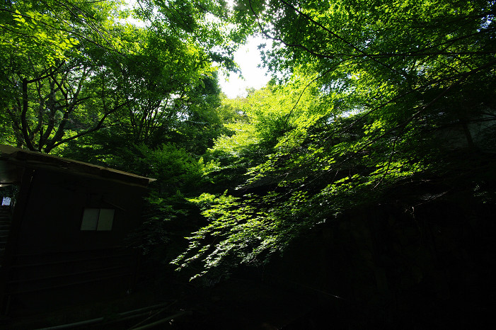 f0152550_19213389.jpg