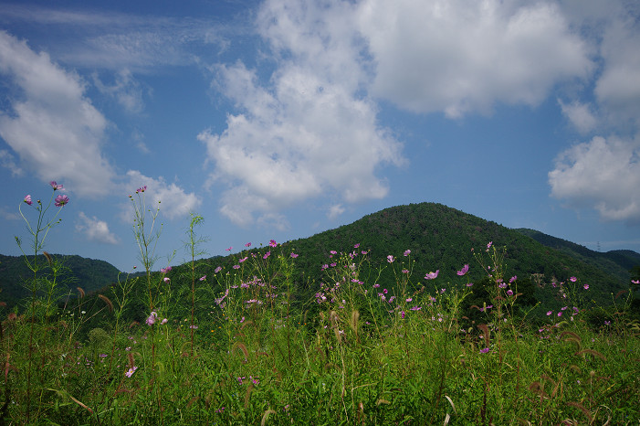 f0152550_19215744.jpg