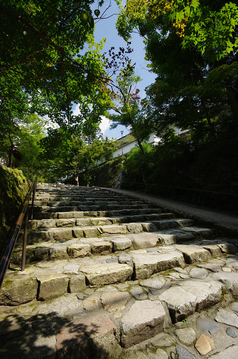 f0152550_1923038.jpg