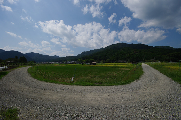 f0152550_19235683.jpg