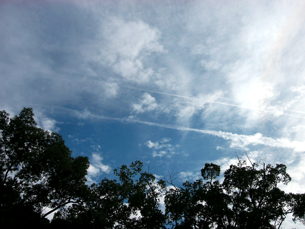 c0225153_22365971.gif