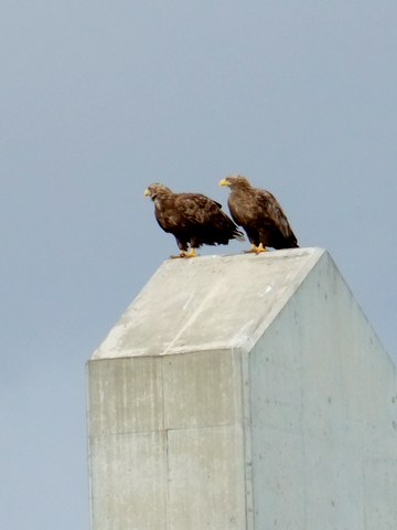 b0165760_15103290.jpg
