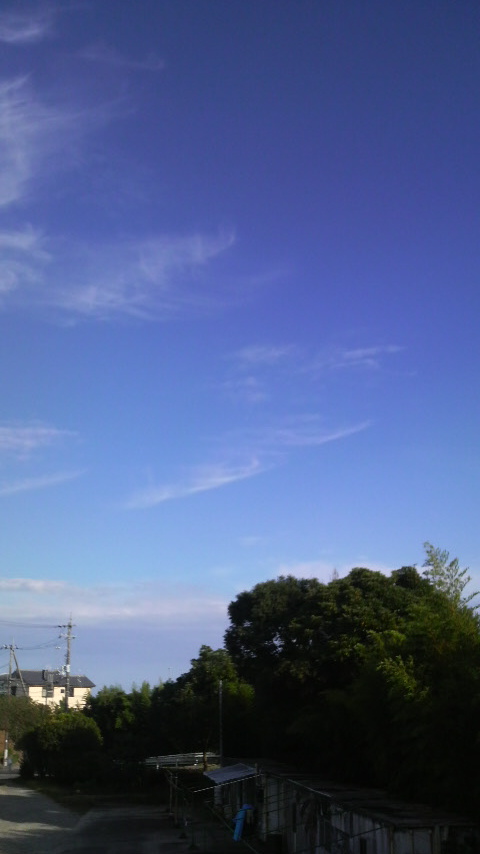 c0147261_2054634.jpg