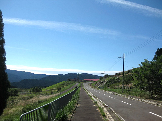 e0193261_184993.jpg