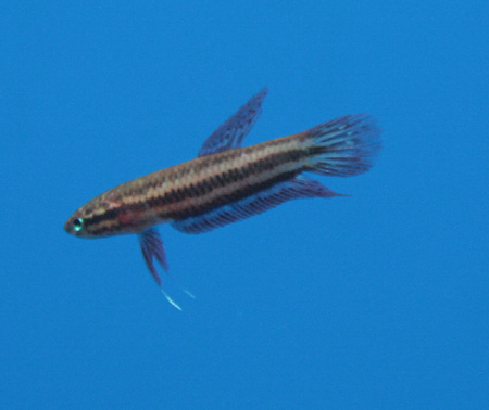 a0162263_20445132.jpg
