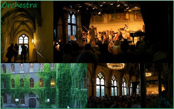 旅行7日目 Vienna(ウィーン) ②夜ぅ~_b0125769_1215075.jpg