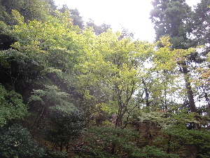 旅日記-16 「慈照寺」_e0033570_19212136.jpg