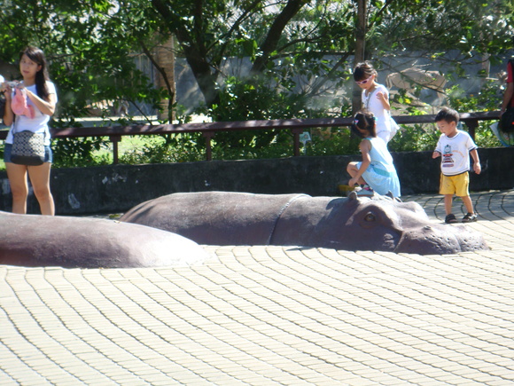 動物園之旅_d0057071_9205630.jpg