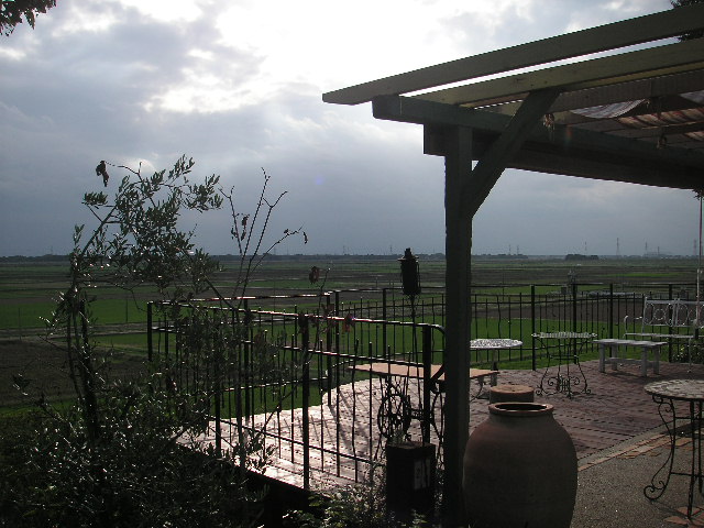 c0111172_2313662.jpg